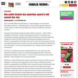 Une petite histoire des pesticides quand le ddt sauvait des vies - Charlie Hebdo