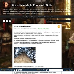 Histoire des Plantes (1) - Le blog de la Ronce et l'Ortie