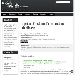 Le prion : l’histoire d’une protéine infectieuse
