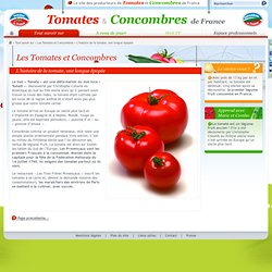 L’histoire de la tomate, une longue épopée / Les Tomates et Concombres - Tomates et concombres de France
