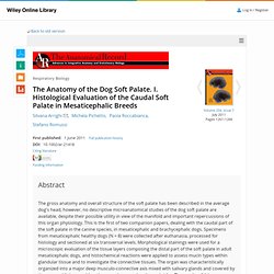 The Anatomy of the Dog Soft Palate. I. Histological Evaluation of the Caudal Soft Palate in Mesaticephalic Breeds - Arrighi - 2011 - The Anatomical Record: Advances in Integrative Anatomy and Evolutionary Biology