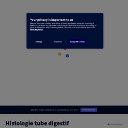 Histologie tube digestif by bruet.charlene on Genial.ly