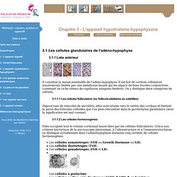 Histologie : organes, systèmes et appareils - Niveau PCEM2 - DCEM1