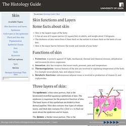 Histology Guide