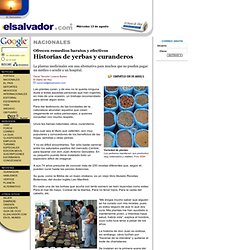 Historias de yerbas y curanderos/Miércoles 13 de agosto / 2003