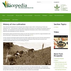 History of rice cultivation -Includes links to countries who produce rice.