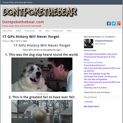 17 GIFs History Will Never Forget - Dontpokethebear.com