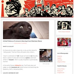 A Brief History of Lolcats & Warning from Chairman Meow - Obey the Kitty!