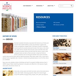History of Spices - McCormick Science Institute