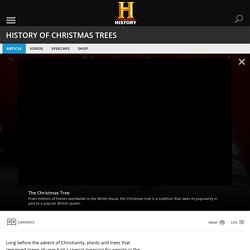 of Christmas Trees — History.com Articles, Video, Pictures and Facts
