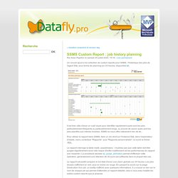 SSMS Custom Report : job history planning - Datafly.pro