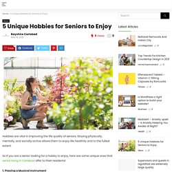 5 Unique Hobbies for Seniors to Enjoy - Articles For Website