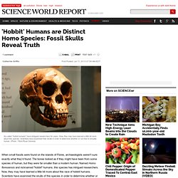 'Hobbit' Humans are Distinct Homo Species: Fossil Skulls Reveal Truth