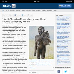 'Hobbits' found on Flores island are not Homo sapiens, but mystery remains