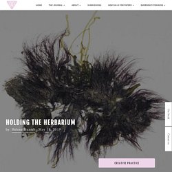 Holding the Herbarium - MAI: Feminism & Visual Culture