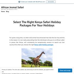 Select The Right Kenya Safari Holiday Packages For Your Holidays – African Jesmal Safari