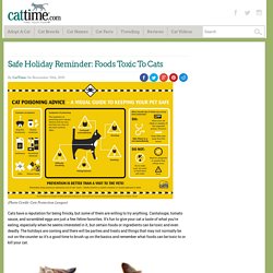 Safe Holiday Reminder: Foods Toxic To Cats - CatTime