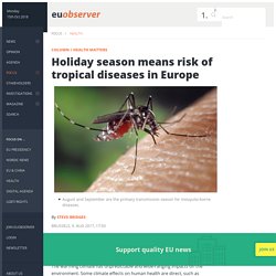 Holiday season means risk of tropical diseases in Europe