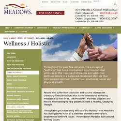 Holistic Therapy