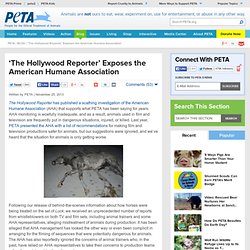 'The Hollywood Reporter' Exposes the American Humane Association