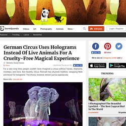 German Circus Uses Holograms Instead Of Live Animals For A Cruelty-Free Magical Experience