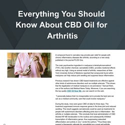 Everything You Should Know About CBD Oil for Arthritis