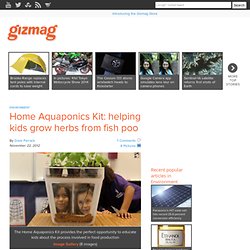 Home Aquaponics Kit: helping kids grow herbs from fish poo