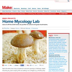 Home Mycology Lab