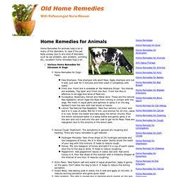 Home Remedies for Animals, Home Remedy For Animals, Animals Home Remedies