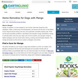 Home Remedies for Dogs with Mange