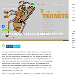 7 Home Remedies To Get Rid Of Termites