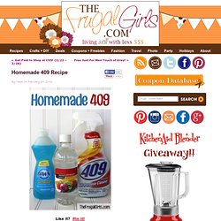 Homemade 409 Recipe in DIY, Frugal Tips, Homemade Cleaners