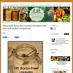 Homemade Borax-Free Laundry Detergent with price and product comparisons.