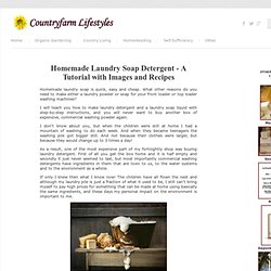 DIY Laundry Soap Detergent: Images & Recipes