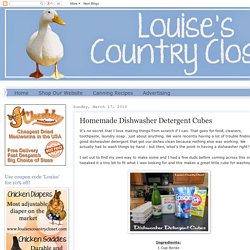 Louise's Country Closet: Homemade Dishwasher Detergent Cubes