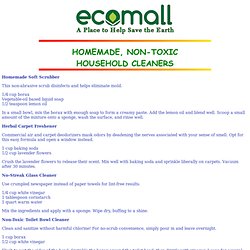 HOMEMADE, NON-TOXIC HOUSEHOLD CLEANERS - Flock