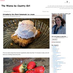 The Wanna be Country Girl - StumbleUpon