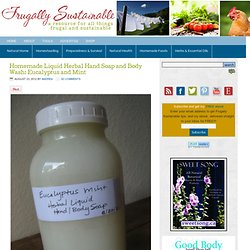 Homemade Liquid Herbal Hand Soap and Body Wash: Eucalyptus and Mint