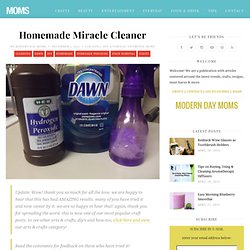 Homemade Miracle Cleaner