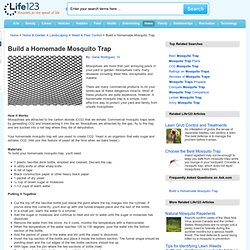 Build a Homemade Mosquito Trap