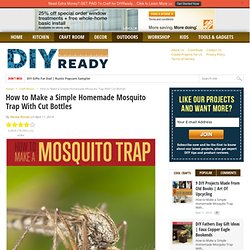 How to Make a Simple Homemade Mosquito Trap With Cut Bottles DIY Ready
