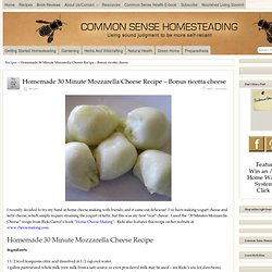Homemade 30 Minute Mozzarella Cheese Recipe - Bonus ricotta cheese