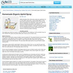 Homemade Organic Aphid Spray
