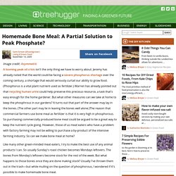 Homemade Bone Meal: A Partial Solution to Peak Phosphate?
