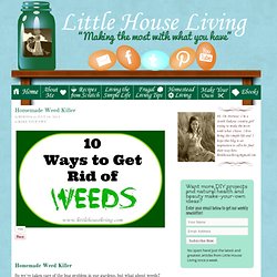Homemade Weed Killer – Make Your Own Weed Killer