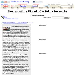 Homeopathics Vitamin C + Feline Leukemia at Animals & Pets Health Support, topic 75786