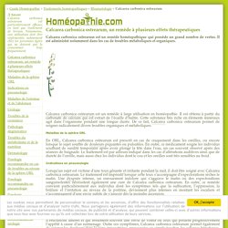 Homéopathie Calcarea carbonica ostrearum
