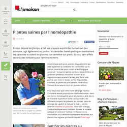 Homéopathie pour les plantes