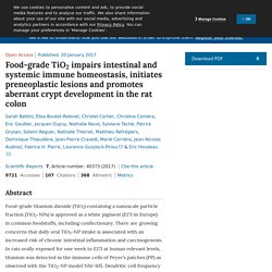 Food-grade TiO2 impairs intestinal and systemic immune ...