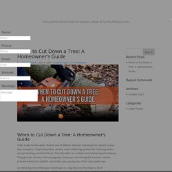 When to Cut Down a Tree: A Homeowner's Guide - Fortitude Landscaping